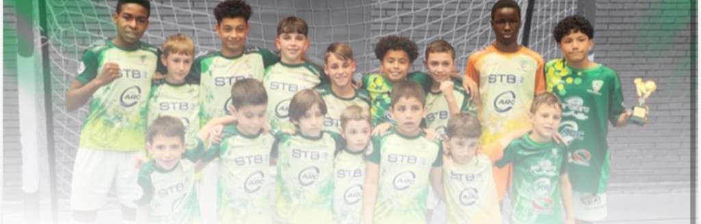 Equipo juvenil FutSala Villaverde